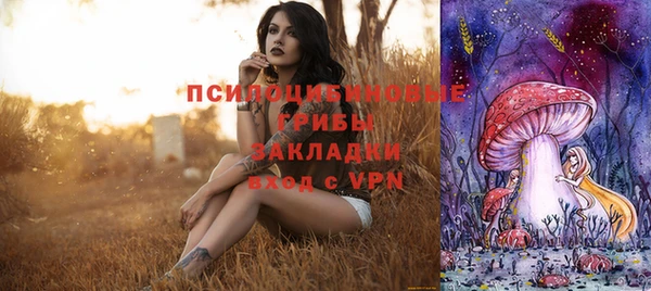 a pvp Алзамай