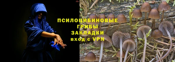 сатива Алексеевка