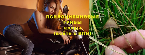 сатива Алексеевка